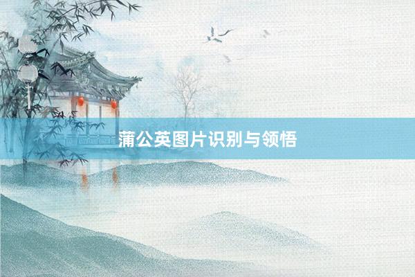 蒲公英图片识别与领悟
